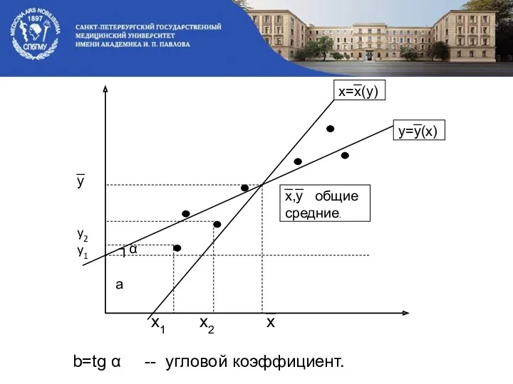 b=tg α -- угловой коэффициент.