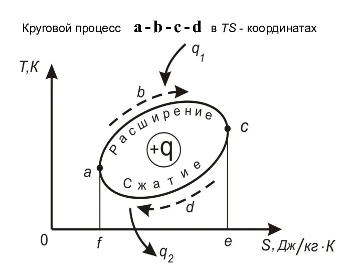 Круговой процесс в TS - координатах