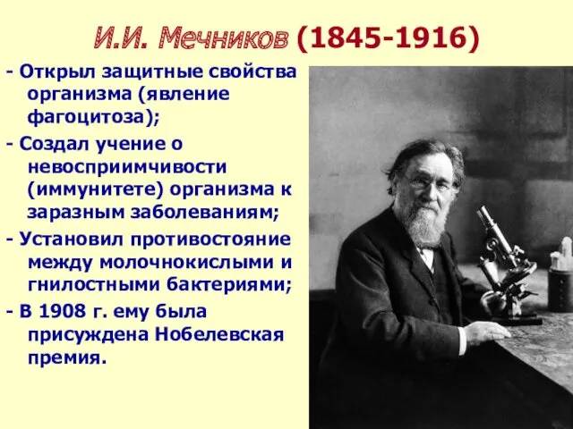 И.И. Мечников (1845-1916) - Открыл защитные свойства организма (явление фагоцитоза);