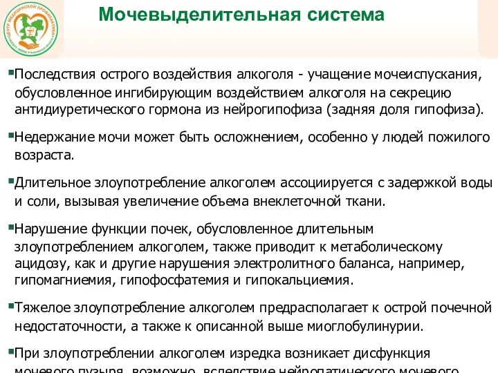 Мочевыделительная система Последствия острого воздействия алкоголя - учащение мочеиспускания, обусловленное ингибирующим воздействием алкоголя