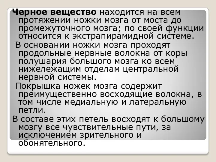 Черное вещество находится на всем протяжении ножки мозга от моста