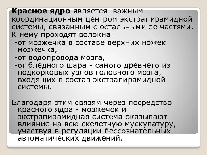 Красное ядро является важным координационным центром экстрапирамидной системы, связанным с