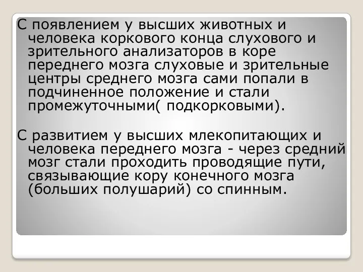 С появлением у высших животных и человека коркового конца слухового