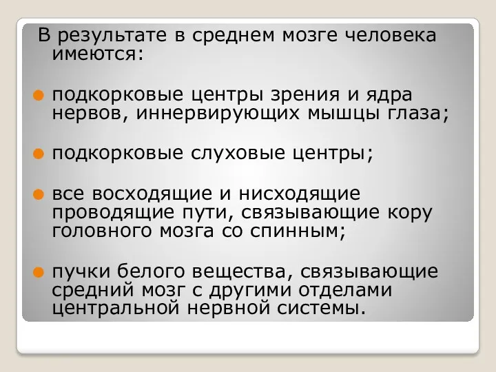 В результате в среднем мозге человека имеются: подкорковые центры зрения