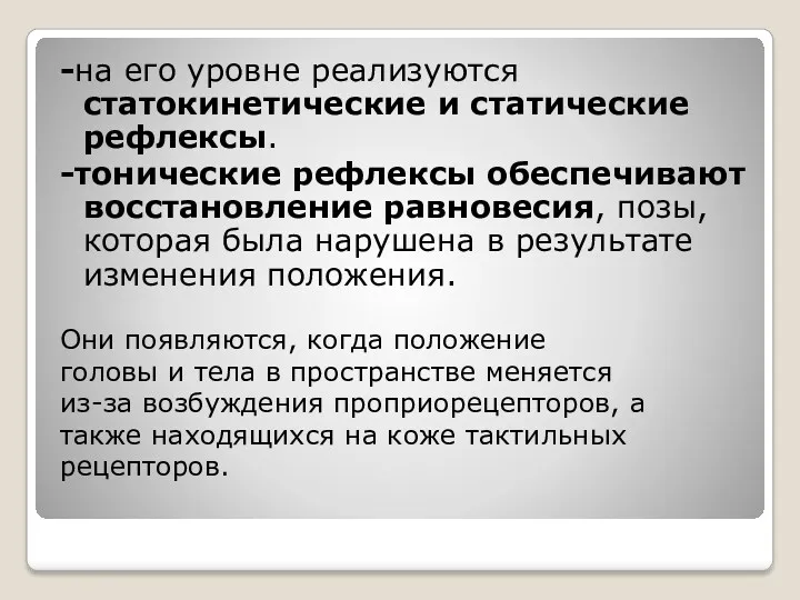 -на его уровне реализуются статокинетические и статические рефлексы. -тонические рефлексы