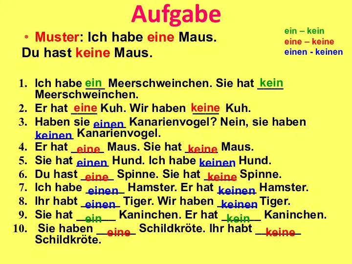 Aufgabe Muster: Ich habe eine Maus. Du hast keine Maus. Ich habe ___