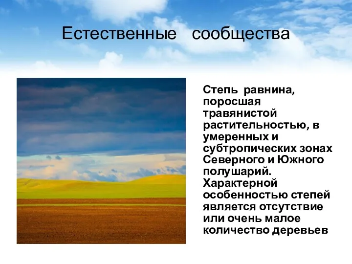 Естественные сообщества Степь равнина, поросшая травянистой растительностью, в умеренных и