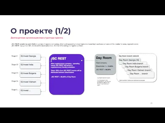 О проекте (1/2) Долгосрочная организационная структура проекта.