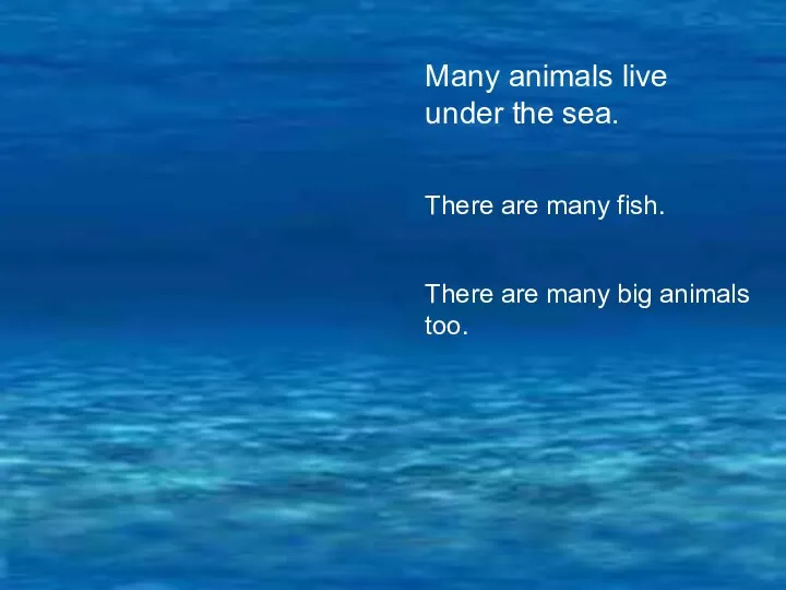 Many animals live under the sea. There are many fish. There are many big animals too.