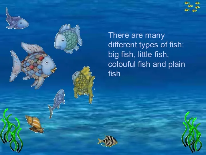 There are many different types of fish: big fish, little fish, colouful fish and plain fish