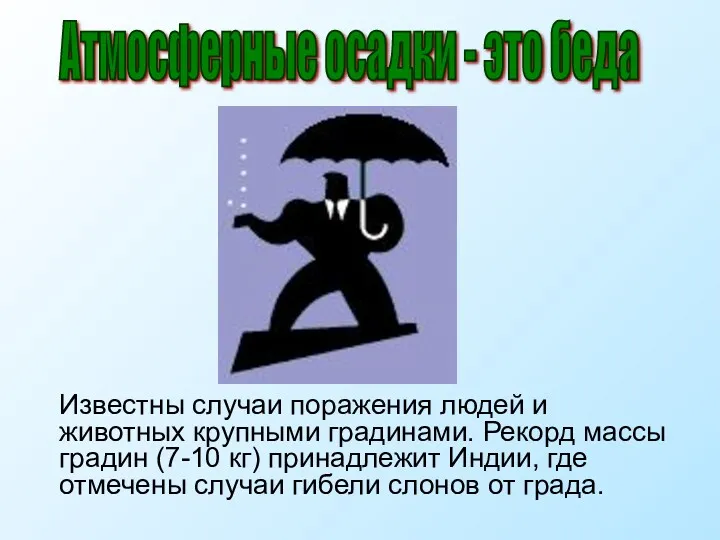 Известны случаи поражения людей и животных крупными градинами. Рекорд массы