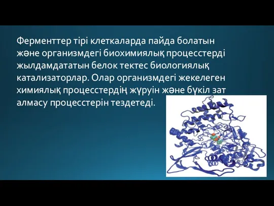 Ферменттер тірі клеткаларда пайда болатын және организмдегі биохимиялық процесстерді жылдамдататын