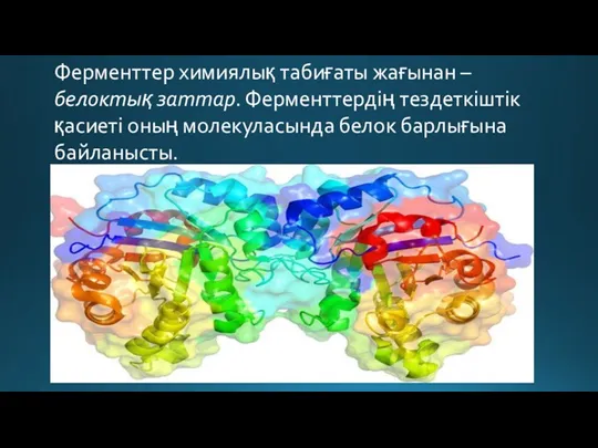 Ферменттер химиялық табиғаты жағынан – белоктық заттар. Ферменттердің тездеткіштік қасиеті оның молекуласында белок барлығына байланысты.