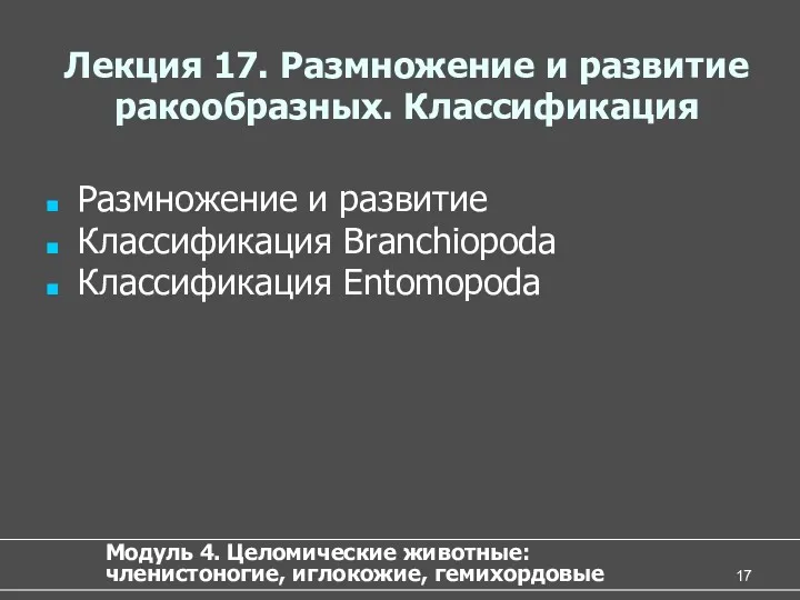 Лекция 17. Размножение и развитие ракообразных. Классификация Размножение и развитие Классификация Branchiopoda Классификация