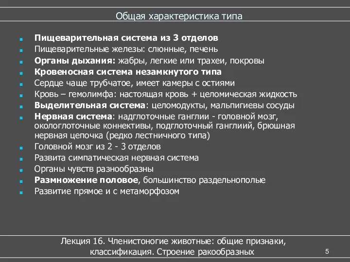 Общая характеристика типа Лекция 16. Членистоногие животные: общие признаки, классификация.