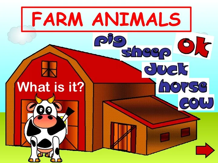 What is it? FARM ANIMALS