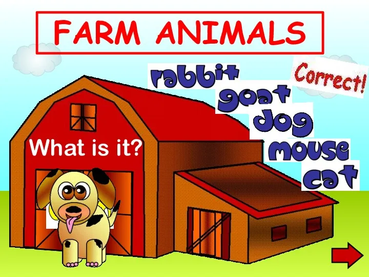 What is it? FARM ANIMALS