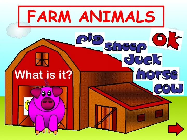 What is it? FARM ANIMALS