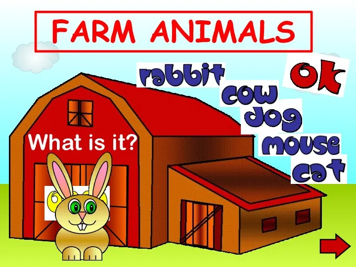 What is it? FARM ANIMALS