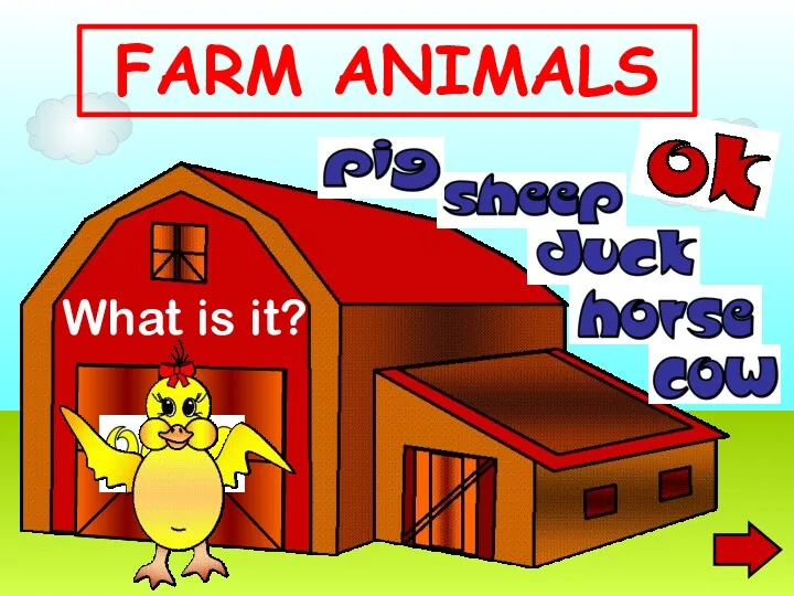 What is it? FARM ANIMALS