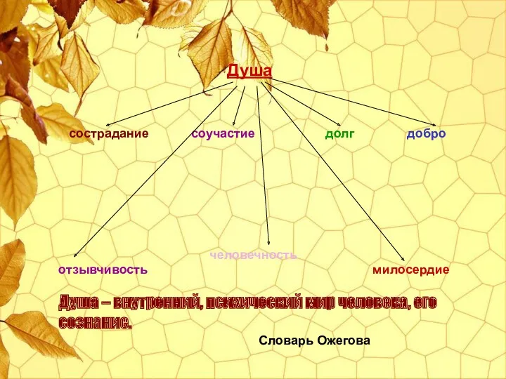 Душа сострадание соучастие долг добро человечность отзывчивость милосердие Душа –