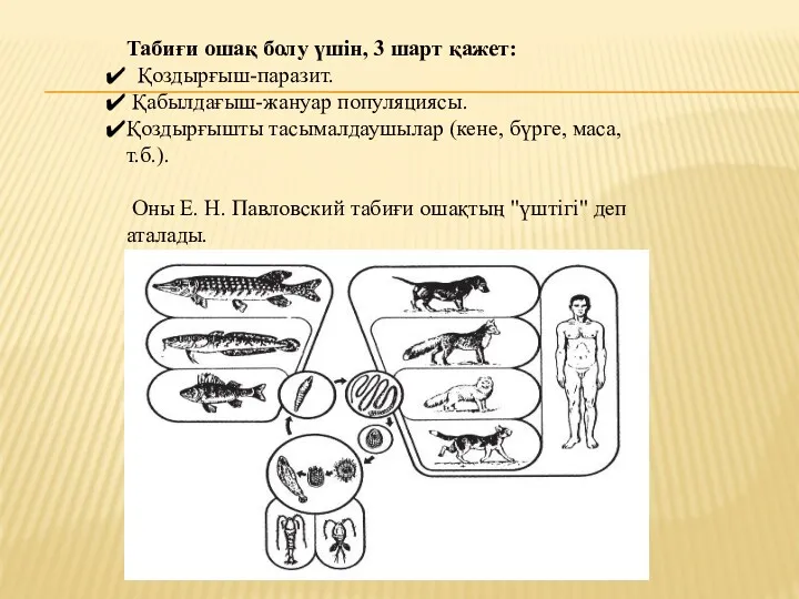 Табиғи ошақ болу үшін, 3 шарт қажет: Қоздырғыш-паразит. Қабылдағыш-жануар популяциясы. Қоздырғышты тасымалдаушылар (кене,