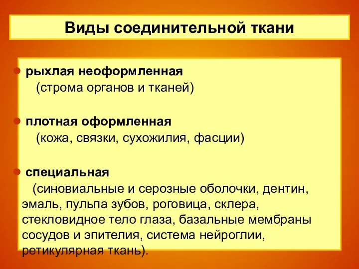 Виды соединительной ткани рыхлая неоформленная (строма органов и тканей) плотная