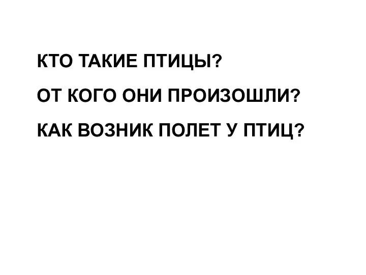 КТО ТАКИЕ ПТИЦЫ? ОТ КОГО ОНИ ПРОИЗОШЛИ? КАК ВОЗНИК ПОЛЕТ У ПТИЦ?