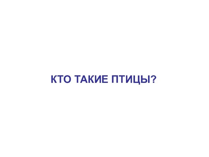 КТО ТАКИЕ ПТИЦЫ?