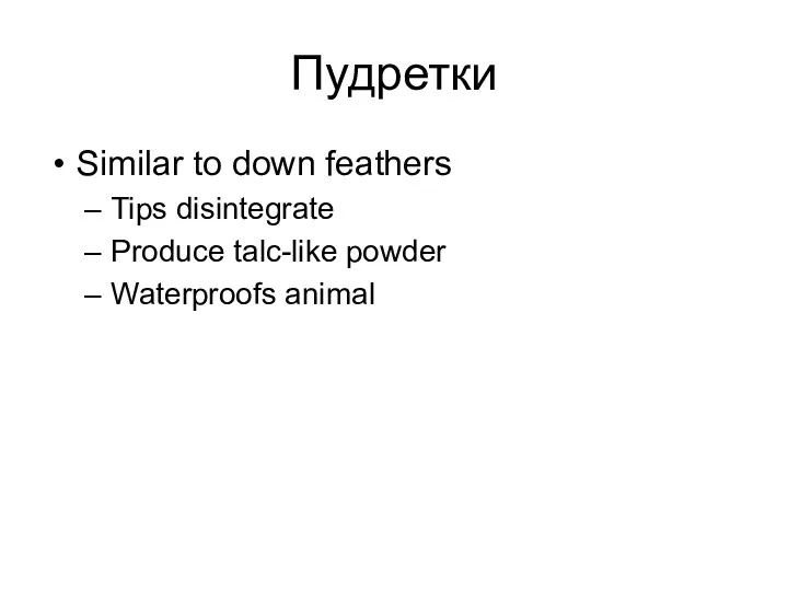 Пудретки Similar to down feathers Tips disintegrate Produce talc-like powder Waterproofs animal