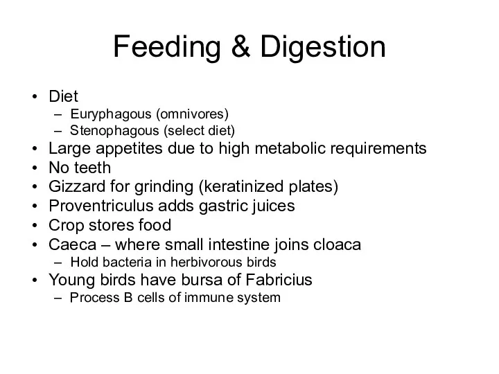 Feeding & Digestion Diet Euryphagous (omnivores) Stenophagous (select diet) Large