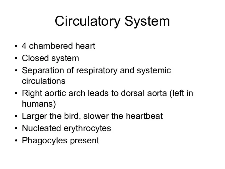 Circulatory System 4 chambered heart Closed system Separation of respiratory