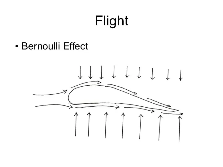 Flight Bernoulli Effect