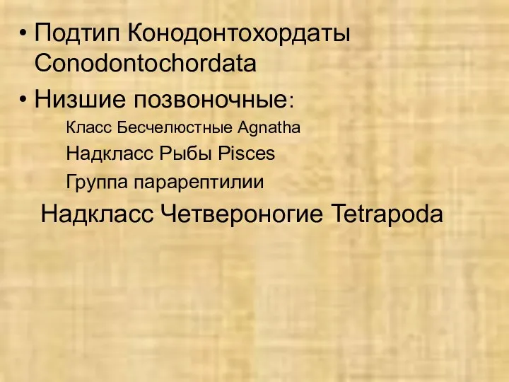 Подтип Конодонтохордаты Conodontochordata Низшие позвоночные: Класс Бесчелюстные Agnatha Надкласс Рыбы Pisces Группа парарептилии Надкласс Четвероногие Tetrapoda