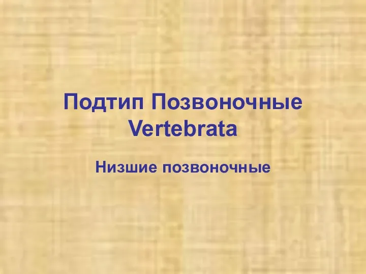 Подтип Позвоночные Vertebrata Низшие позвоночные