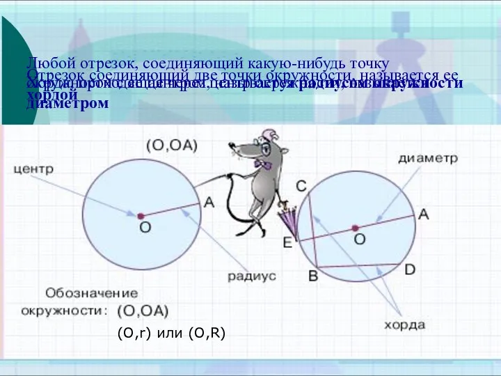 (O,r) или (O,R) Любой отрезок, соединяющий какую-нибудь точку окружности с