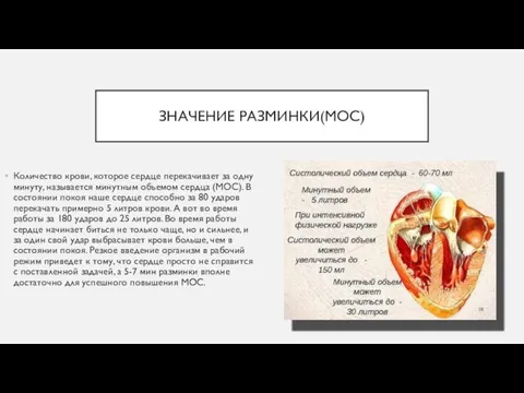 ЗНАЧЕНИЕ РАЗМИНКИ(МОС) Количество крови, которое сердце перекачивает за одну минуту,