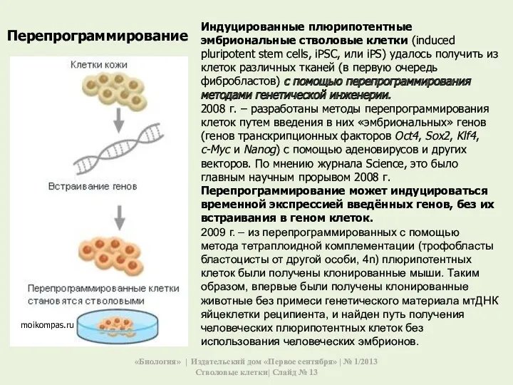 Индуцированные плюрипотентные эмбриональные стволовые клетки (induced pluripotent stem cells, iPSC,