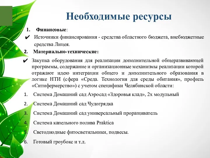 Финансовые: Источники финансирования - средства областного бюджета, внебюджетные средства Лицея.