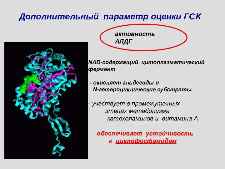 Дополнительный параметр оценки ГСК активность АЛДГ NAD-содержащий цитоплазматический фермент - окисляет альдегиды и