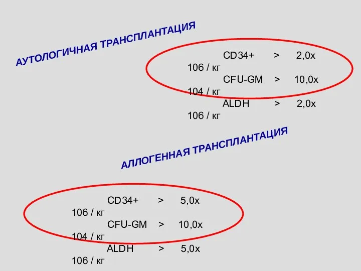 CD34+ > 2,0x 106 / кг CFU-GM > 10,0x 104 / кг ALDH