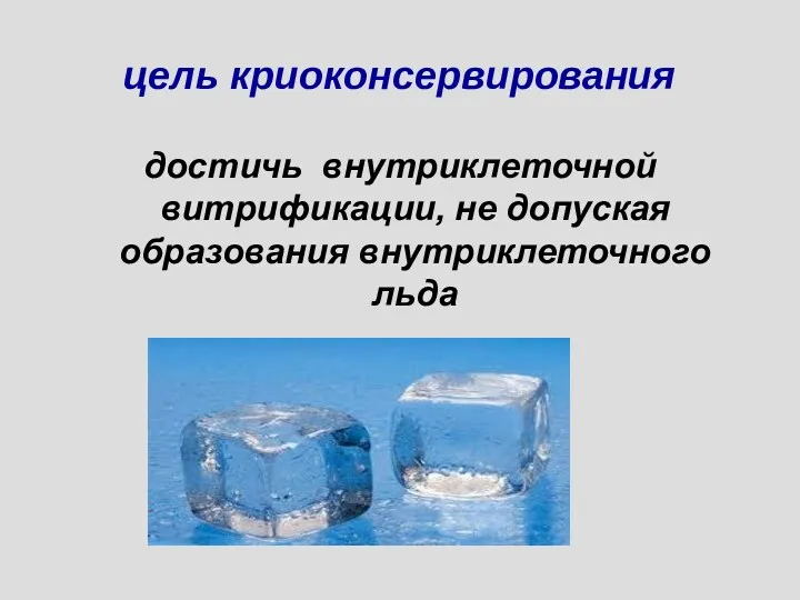 цель криоконсервирования достичь внутриклеточной витрификации, не допуская образования внутриклеточного льда