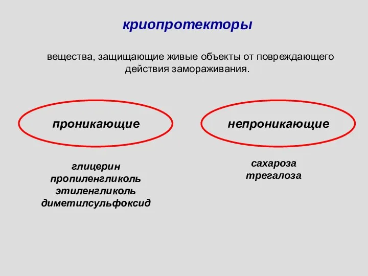 криопротекторы вещества, защищающие живые объекты от повреждающего действия замораживания. проникающие