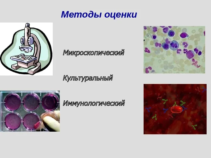 Методы оценки Микроскопический Культуральный Иммунологический