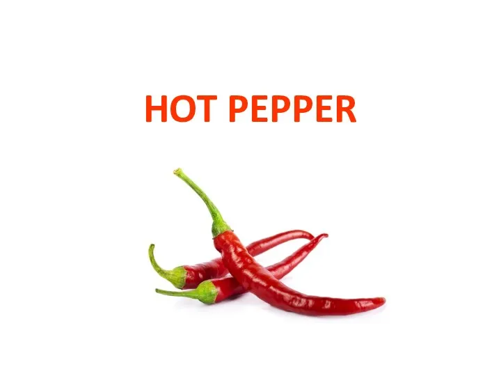 HOT PEPPER