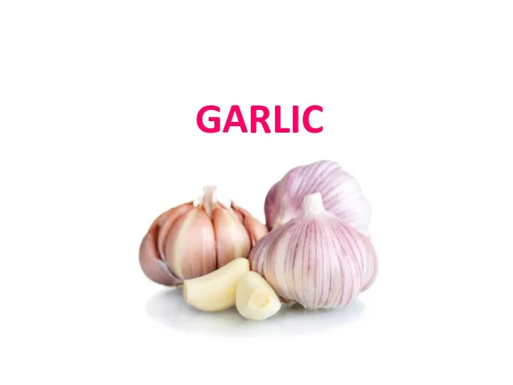 GARLIC