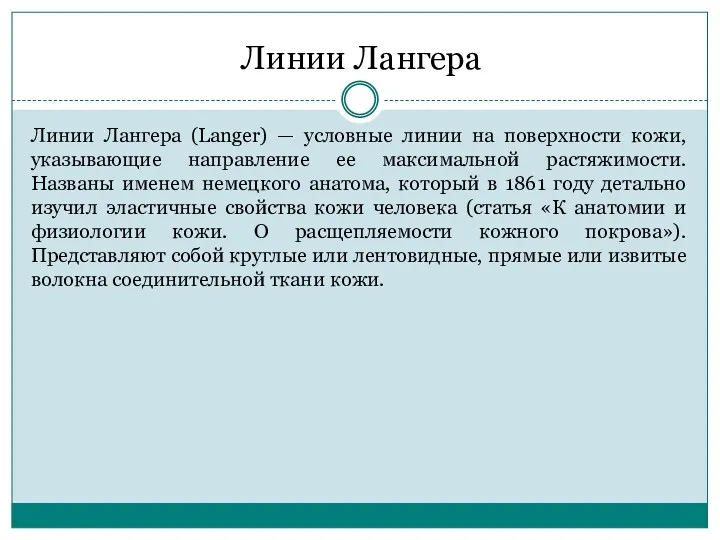 Линии Лангера Линии Лангера (Langer) — условные линии на поверхности