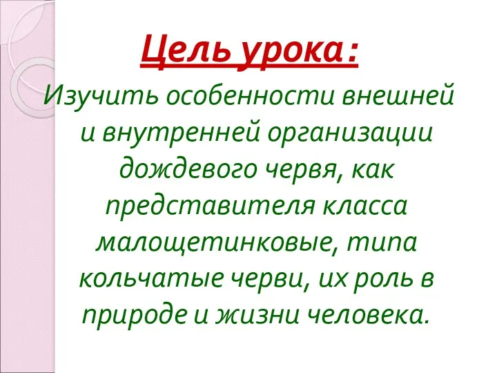 Цель урока: Изучить особенности внешней и внутренней организации дождевого червя, как представителя класса