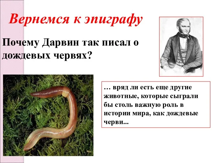 Почему Дарвин так писал о дождевых червях? Вернемся к эпиграфу … вряд ли