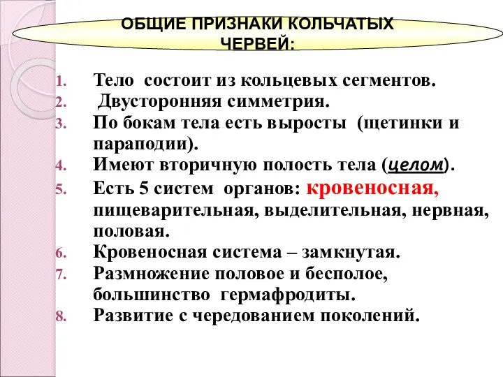 Тело состоит из кольцевых сегментов. Двусторонняя симметрия. По бокам тела есть выросты (щетинки